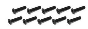 FH 3x10 Screw